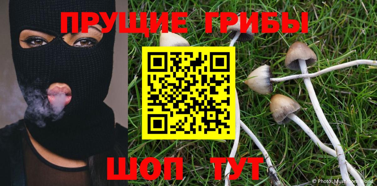 Галлюциногенные грибы Magic Shrooms Александров