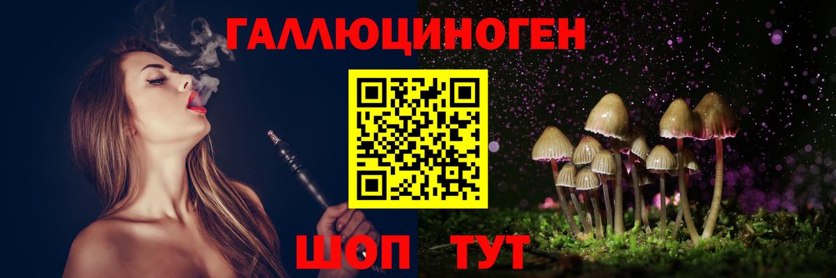 Галлюциногенные грибы Psilocybe  Псилоцибиновые грибы Psilocybine cubensis  Вход с VPN  Александров 